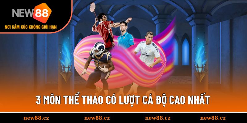 3 môn thể thao có lượt cá độ cao nhất