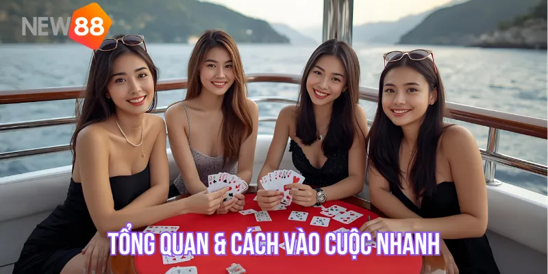 Tổng quan & cách vào cuộc nhanh