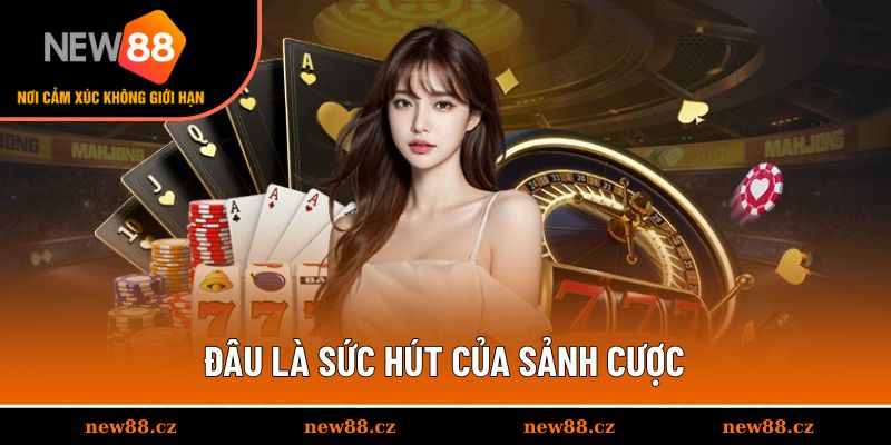 Đâu là sức hút của sảnh cược