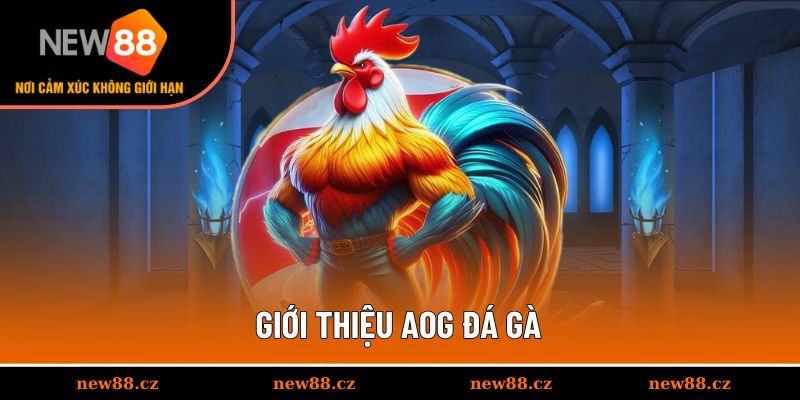 Giới thiệu AOG đá gà