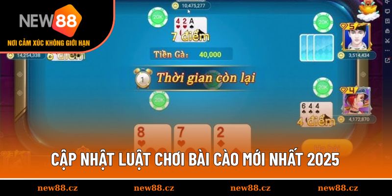 Chia sẻ quy tắc chơi Bài Cào chuẩn xác nhất