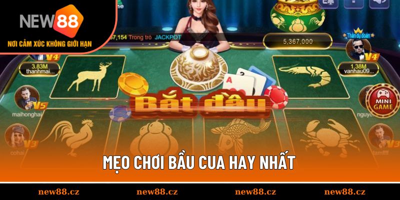 Chiến thuật săn thưởng hữu ích