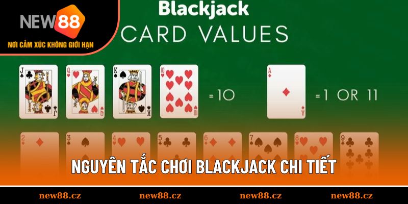 Quy định đặt cược cho người mới