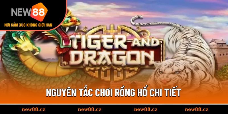 Cập nhật luật chơi chi tiết