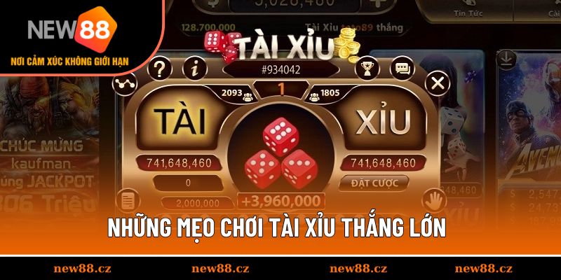 Chiến thuật đặt cược hay nên biết
