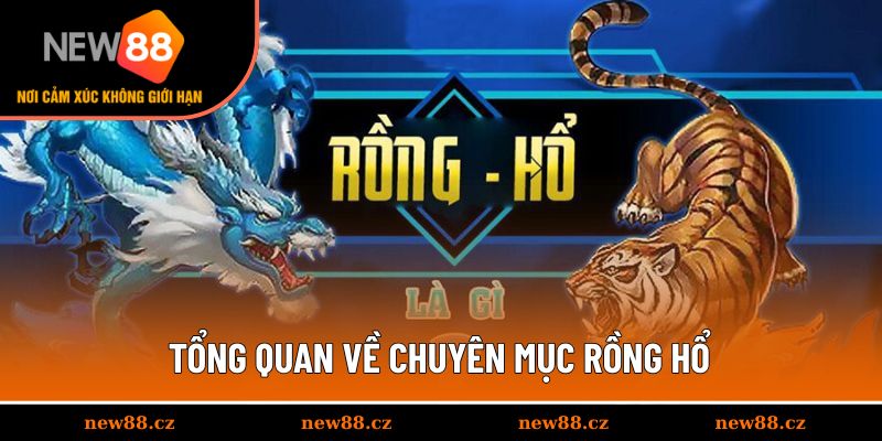 Giới thiệu chung về rồng hổ