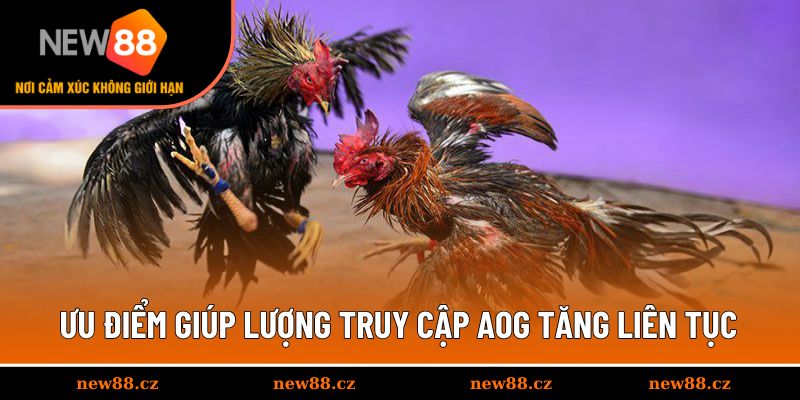 Ưu điểm giúp lượng truy cập AOG tăng liên tục