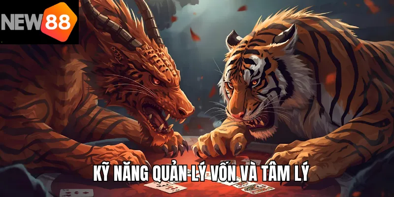 Kỹ năng quản lý vốn và tâm lý khi chơi rồng hổ