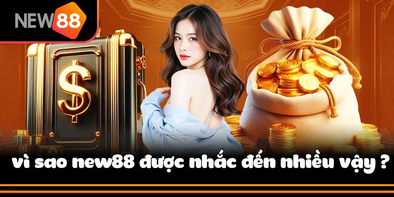 New88 là gì? vì sao được nhắc nhiều