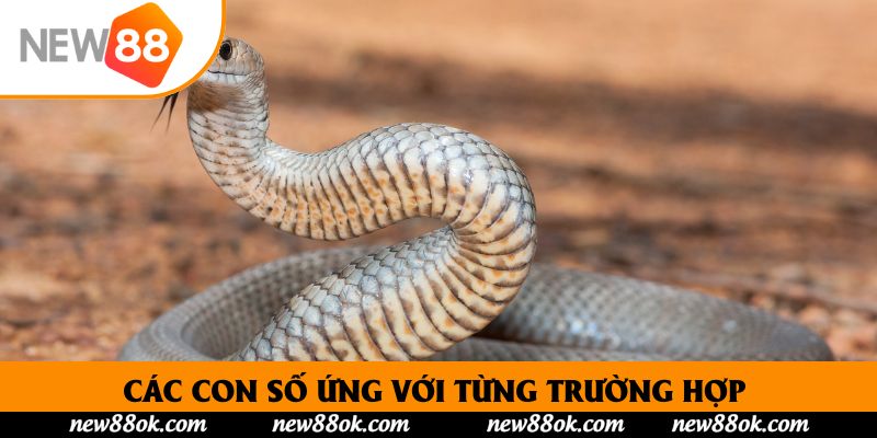 Các con số ứng với từng trường hợp để kiếm về nhiều “triệu”