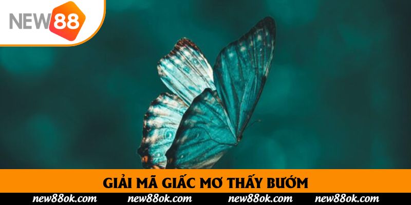 Giải Mã Giấc Mơ Thấy Bướm – Ý Nghĩa, Tình Duyên Và Vận Mệnh